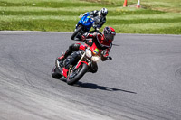 enduro-digital-images;event-digital-images;eventdigitalimages;lydden-hill;lydden-no-limits-trackday;lydden-photographs;lydden-trackday-photographs;no-limits-trackdays;peter-wileman-photography;racing-digital-images;trackday-digital-images;trackday-photos